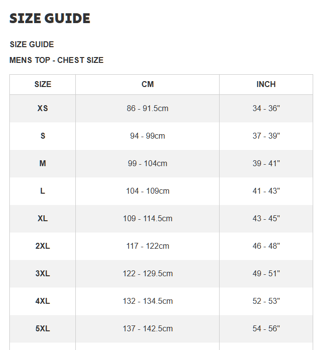 SALE SALE SALE British & Irish Lions 2025 Jersey