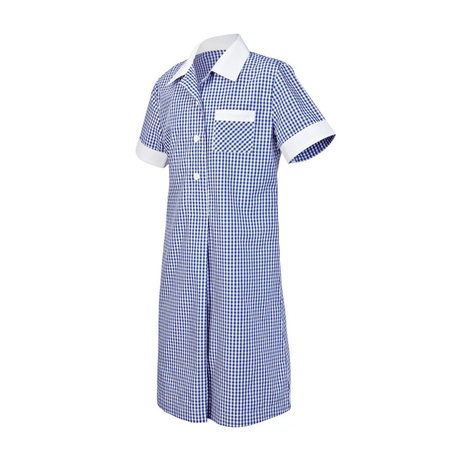 Primary School Gingham Dress Light Blue White