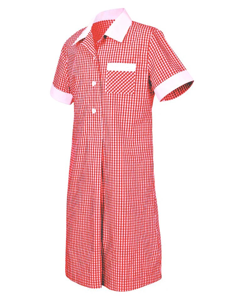 Primary School Gingham Dress Red White