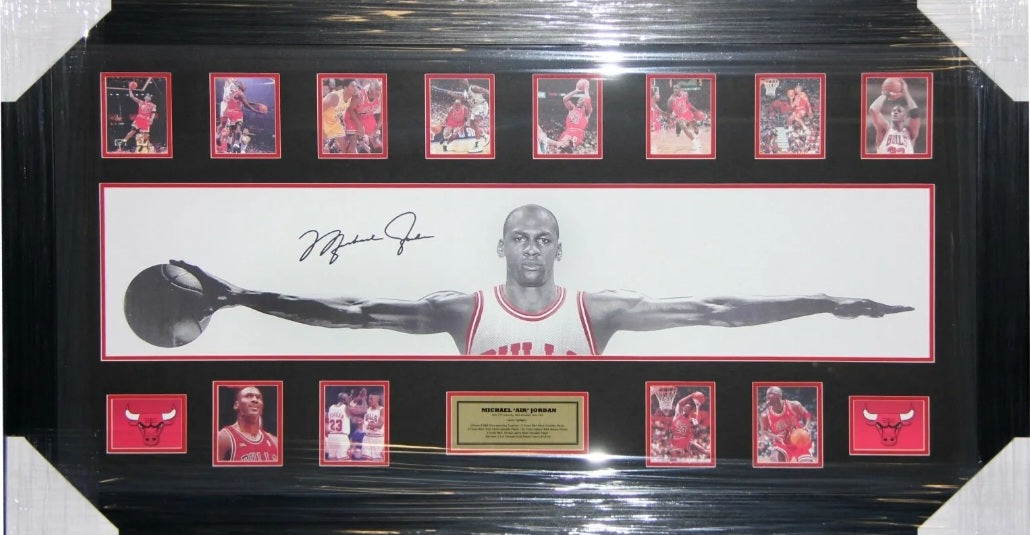 Michael “Air” Jordan Wings Frame. PICK UP ONLY