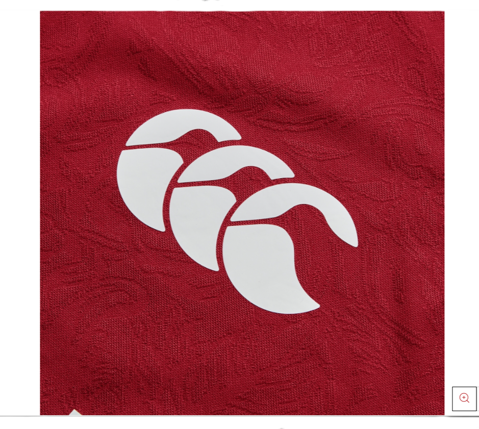 SALE SALE SALE                              British & Irish Lions 2025 Jersey