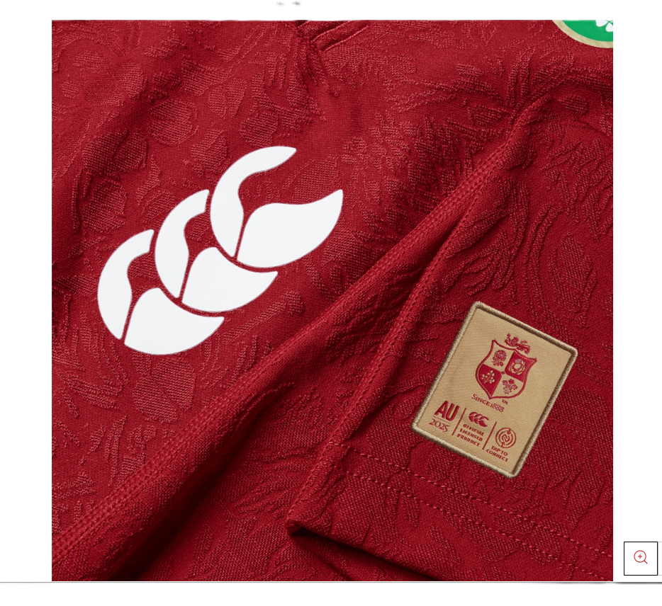 SALE SALE SALE                              British & Irish Lions 2025 Jersey