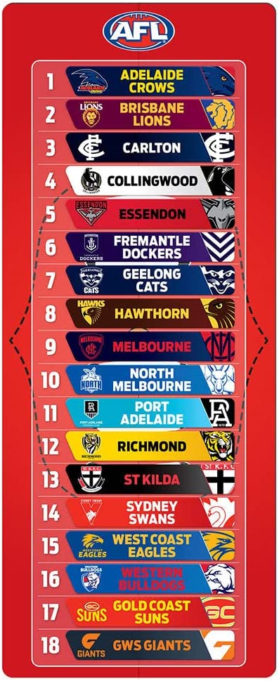 AFL Magnetic Mini Footy Ladder