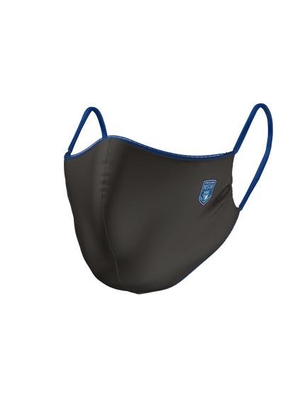 STOCKTAKE SALE            NSW State Of Origin Reversible Face mask